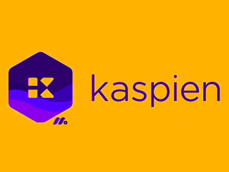电子商务软件和服务平台：卡斯宾控股公司 Kaspien Holdings Inc.(KSPN)