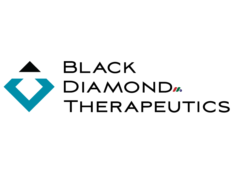 精密肿瘤医学公司：黑钻疗法公司 Black Diamond Therapeutics(BDTX)
