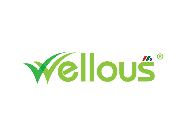 东南亚健康与营养公司：Wellous Group Holdings Limited-图片1