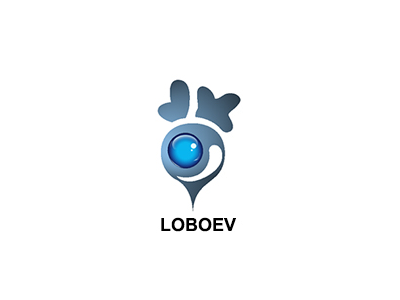 中国电动自行车和三轮车制造商：萝贝电动车科技 Lobo EV Technologies Ltd.(LOBO)